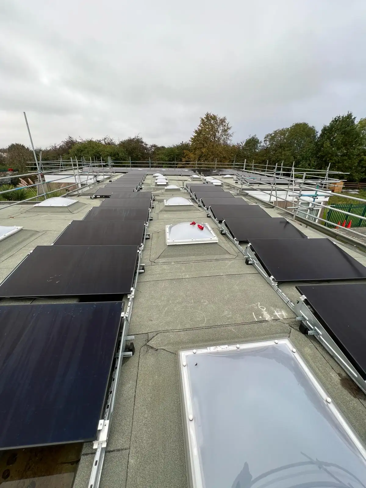 Flat rooftop solar panel array mounted on metal frames, arranged in rows with safety railing around perimeter